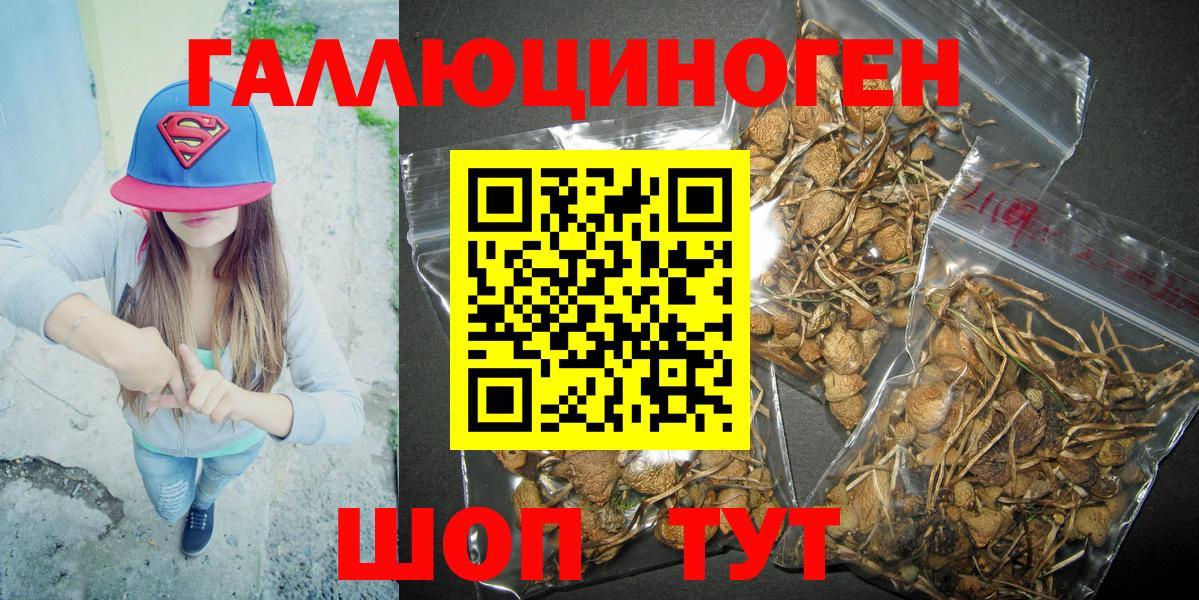 Чита  Галлюциногенные грибы Magic Shrooms  где купить наркоту  Вход с VPN 